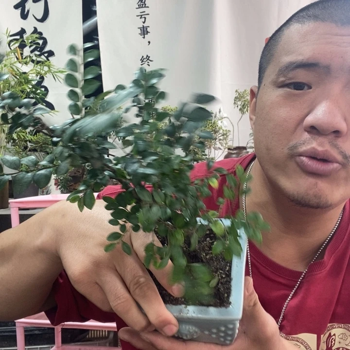 无花朵退款拉黑拉黑27