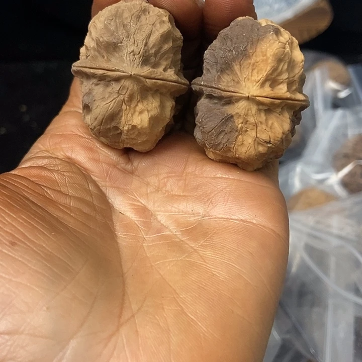 把件文玩核桃云南铁核桃基地100