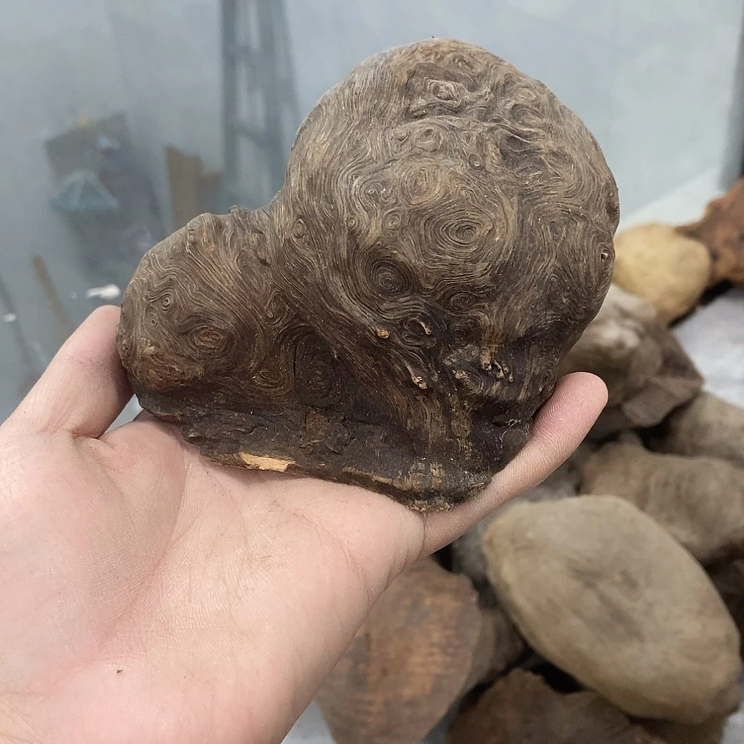 荔枝木伏****组荔枝木香炉