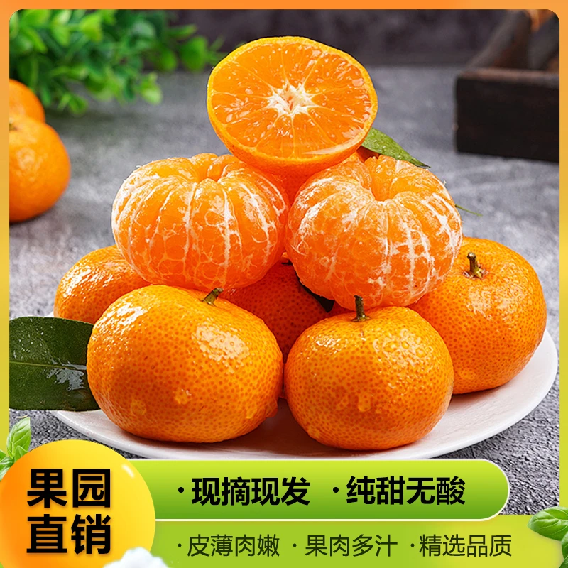 爆款金秋砂糖橘现摘现发清爽解腻皮薄肉厚应季水果香甜多汁橘子