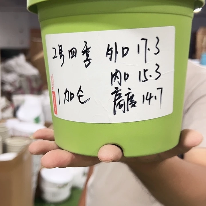 特价2号四季口17高14混色10个无托