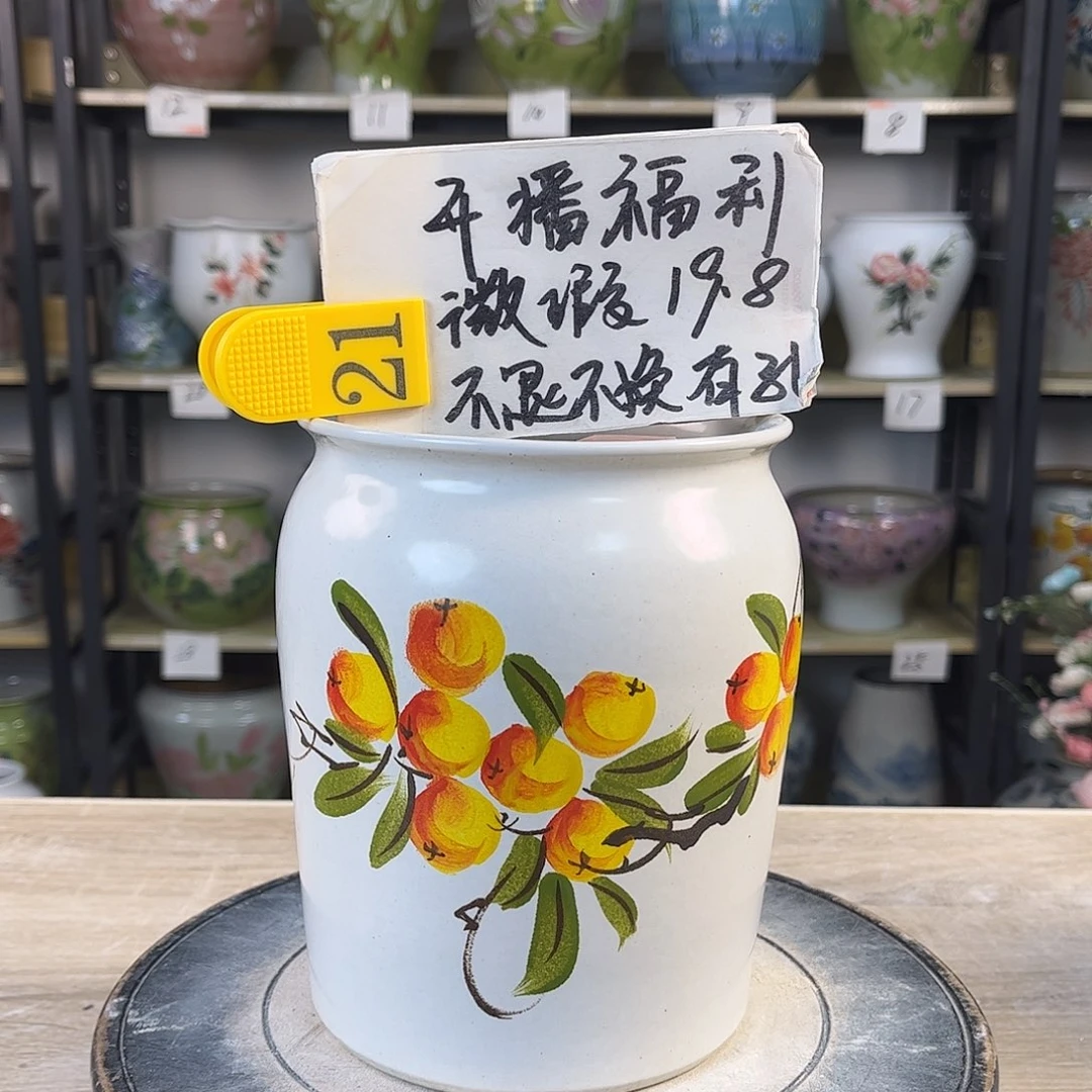 罐1xc景德镇陶瓷花盆