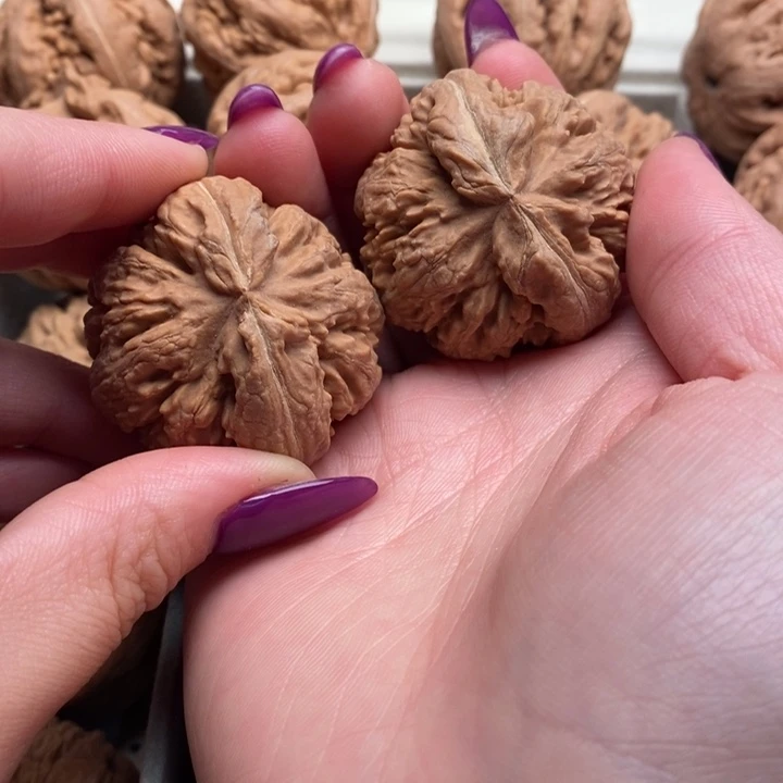 喜***玩霸王龙全品无修一刀没动