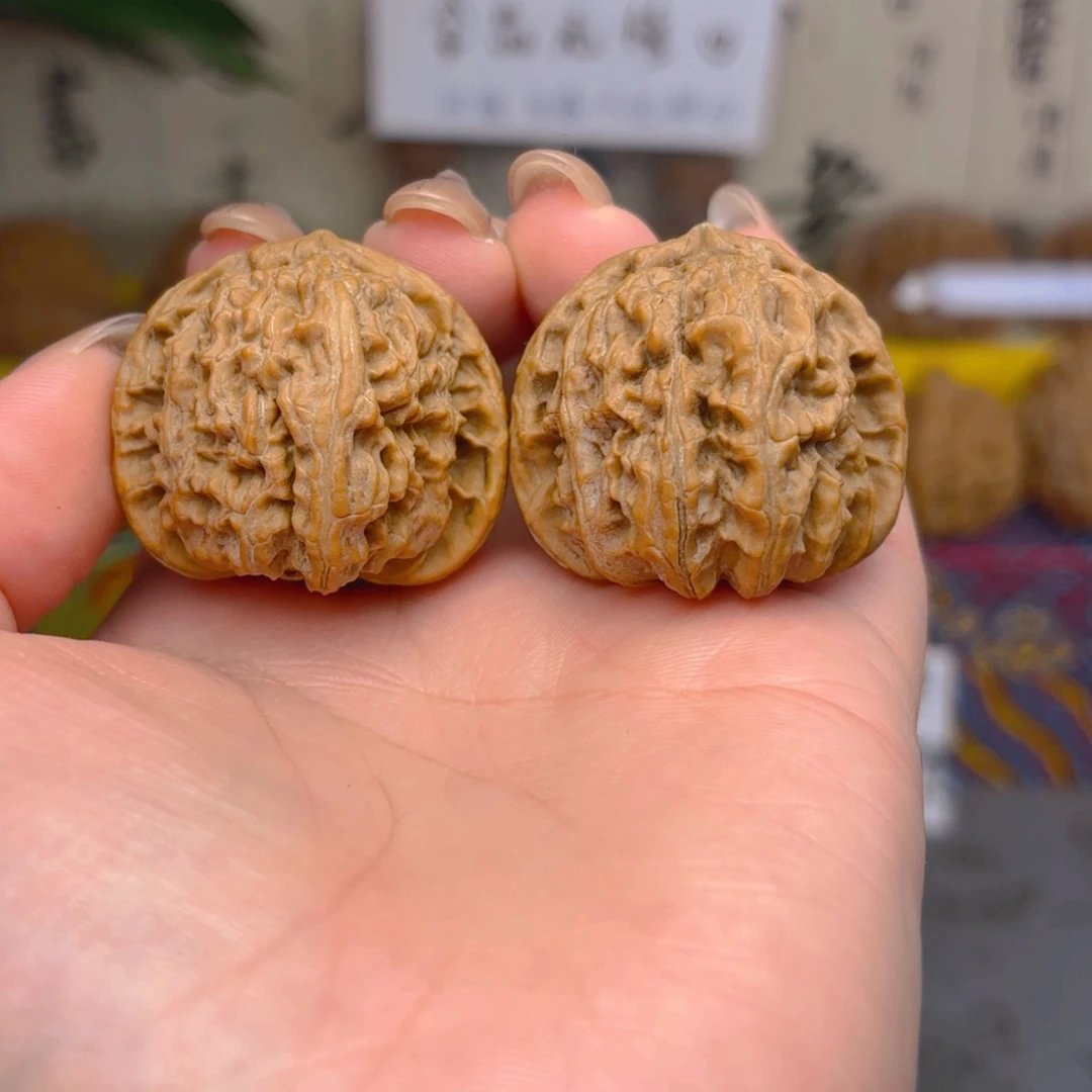 白狮子头三十五尺