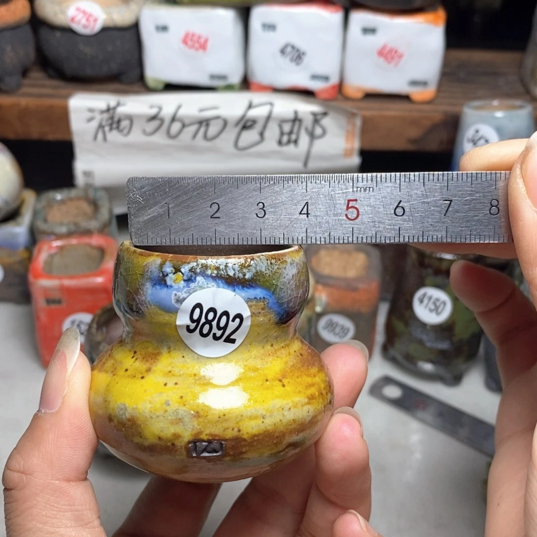 拍5送一个小礼物