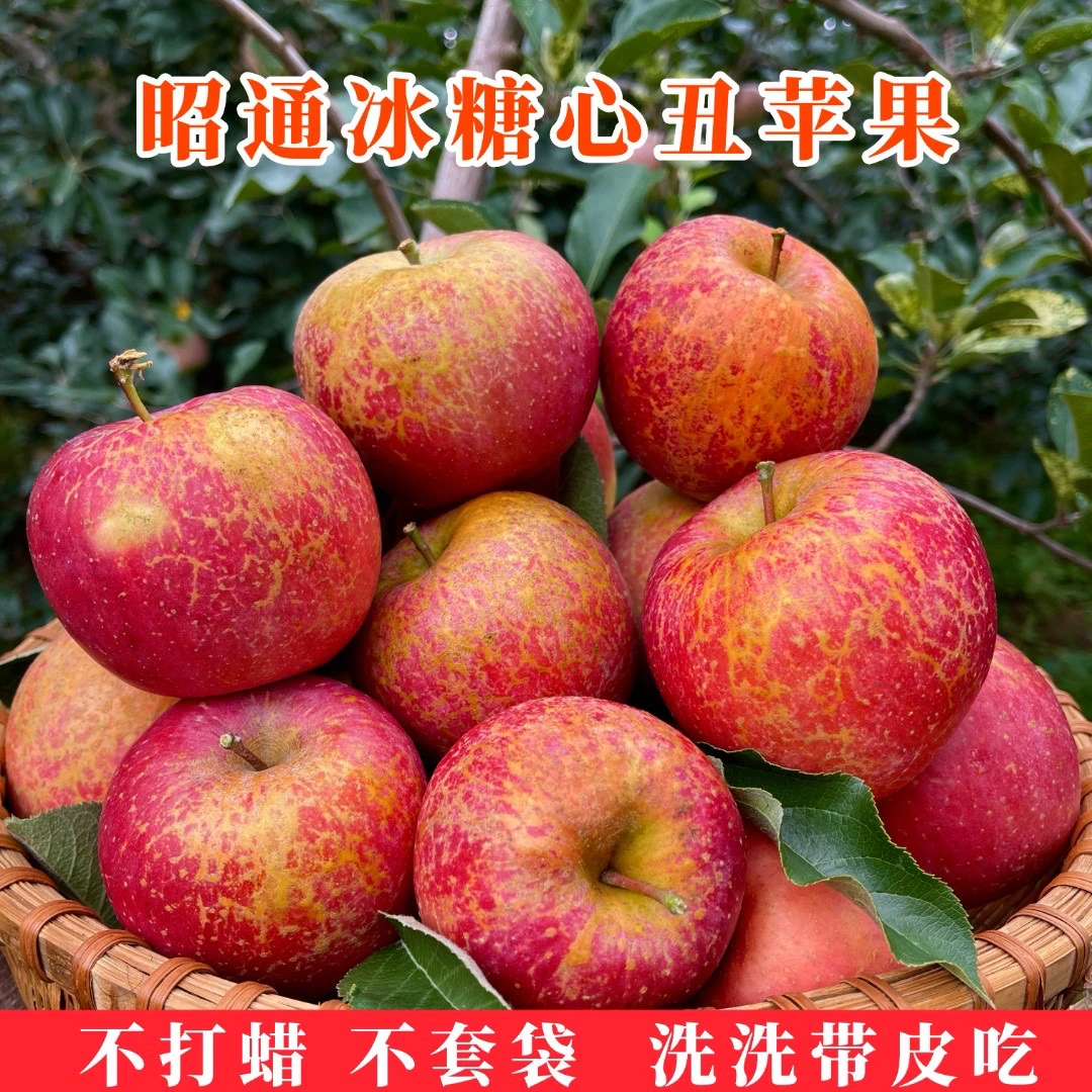 正宗云南昭通丑苹果冰糖心现摘脆甜当季新鲜水果5/9斤产地直发