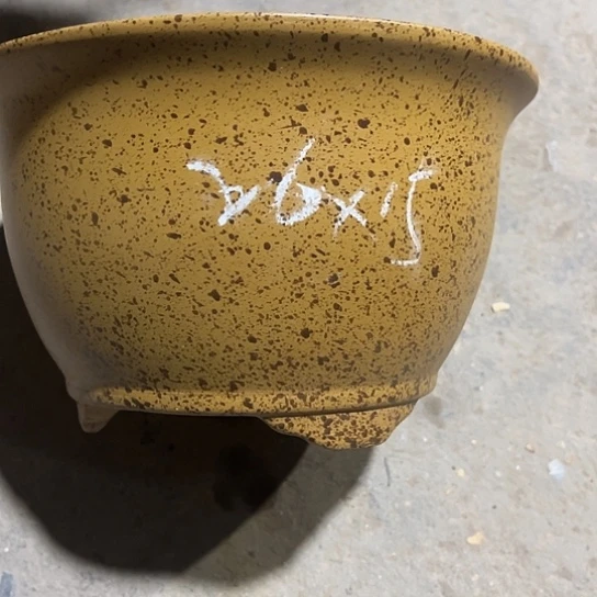 紫砂的感觉就是这么可爱一定
