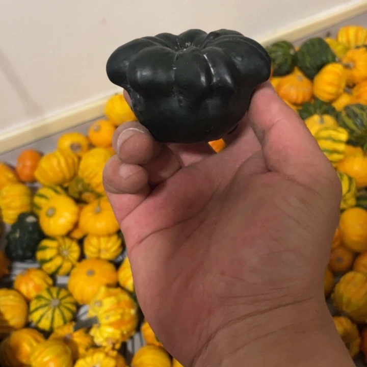 蝈****）55555222222232544555