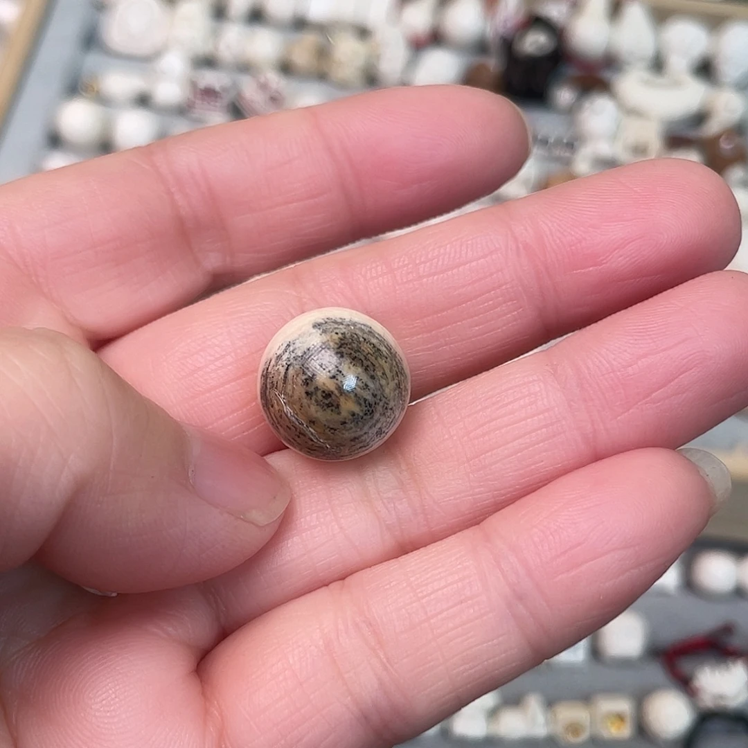 姜***ᐟ手串/手链/手镯猛犸象牙芝麻糊大珠子