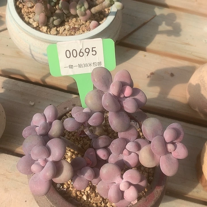 00695，璐璐装修无咯哦无