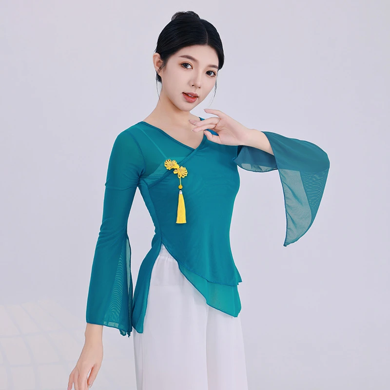 古典舞纱衣演出服仙气飘逸新款网纱上衣女中国舞复古舞蹈服表演服