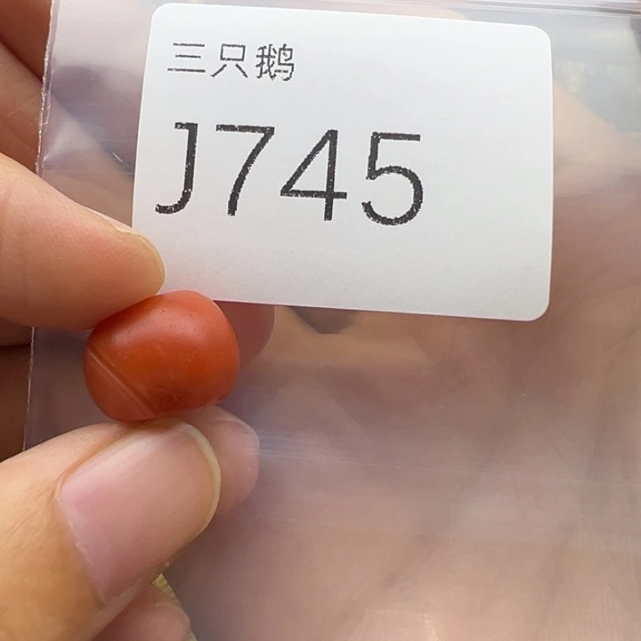 吊坠菩提根/象牙果