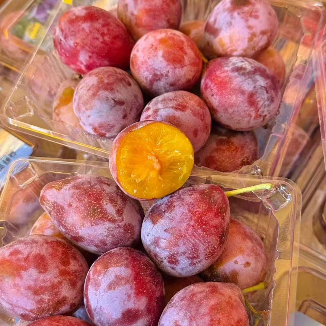 大西梅礼盒一盒装