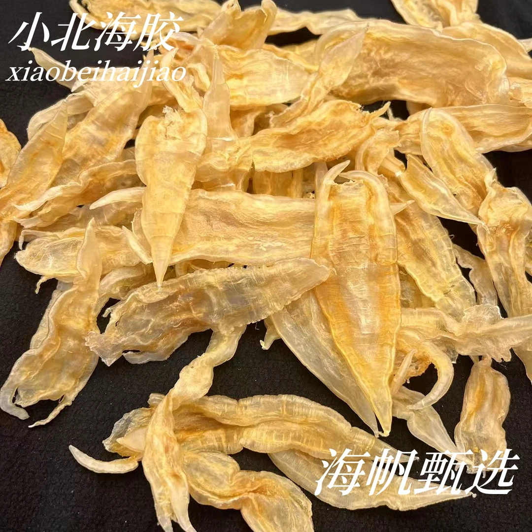 【海帆甄选】小北海深海胶62头/120头 煲汤必备