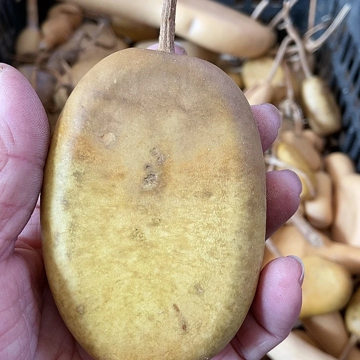 根***繁w j j d g f b s s