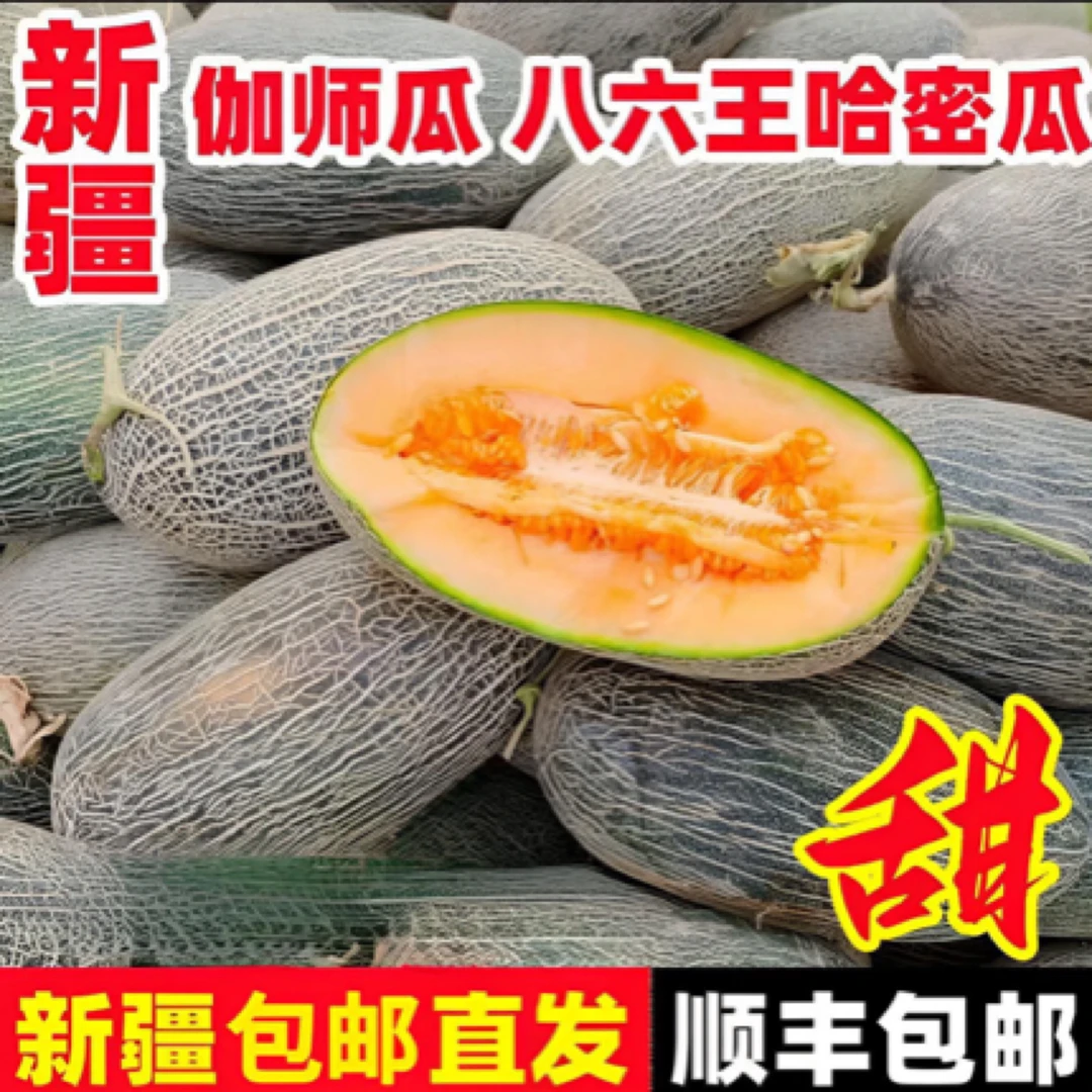 【顺丰京东发货】正宗伽师瓜哈密瓜之王到手净重7-8斤哈密瓜W