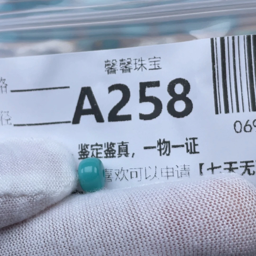 邪***菇绿松石未镶嵌颈饰