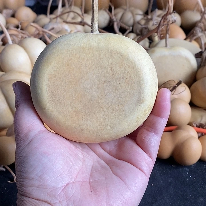 【****官葫芦的颜色是蓝色的还是