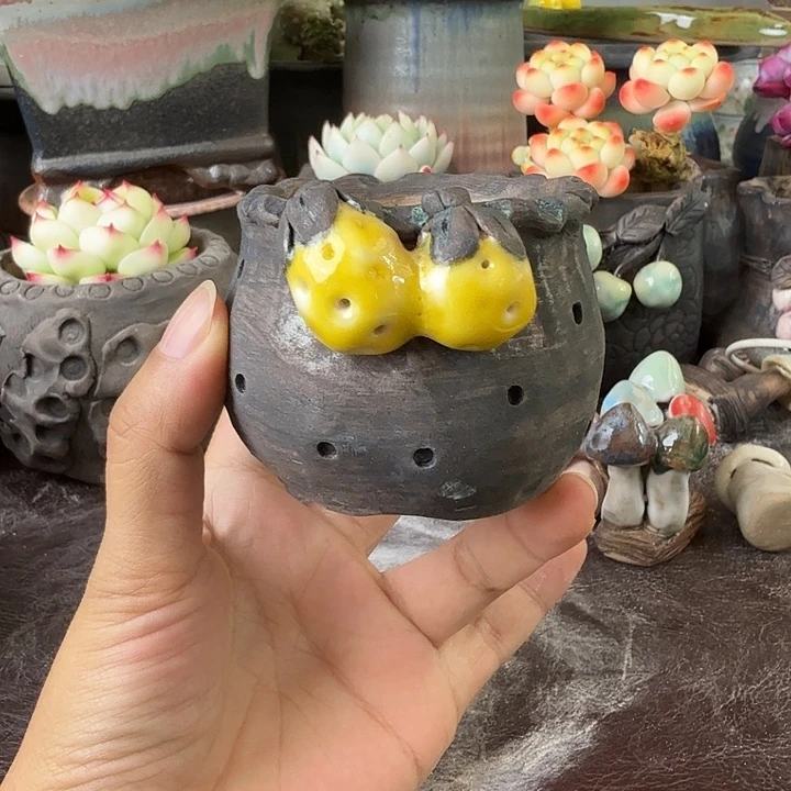 重庆小燕子欢迎大家