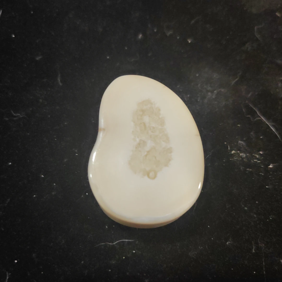 猛犸猛犸虬饼子WW263