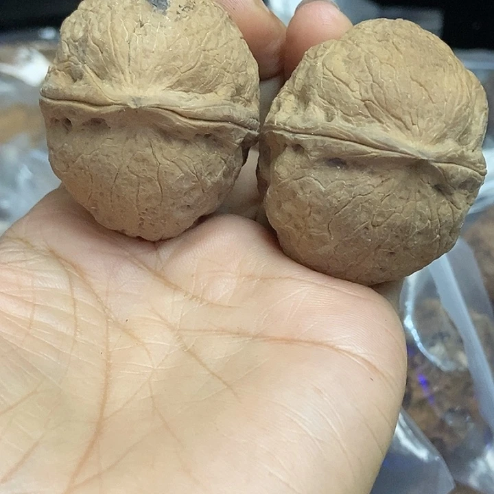 木质类云南铁核桃基地74