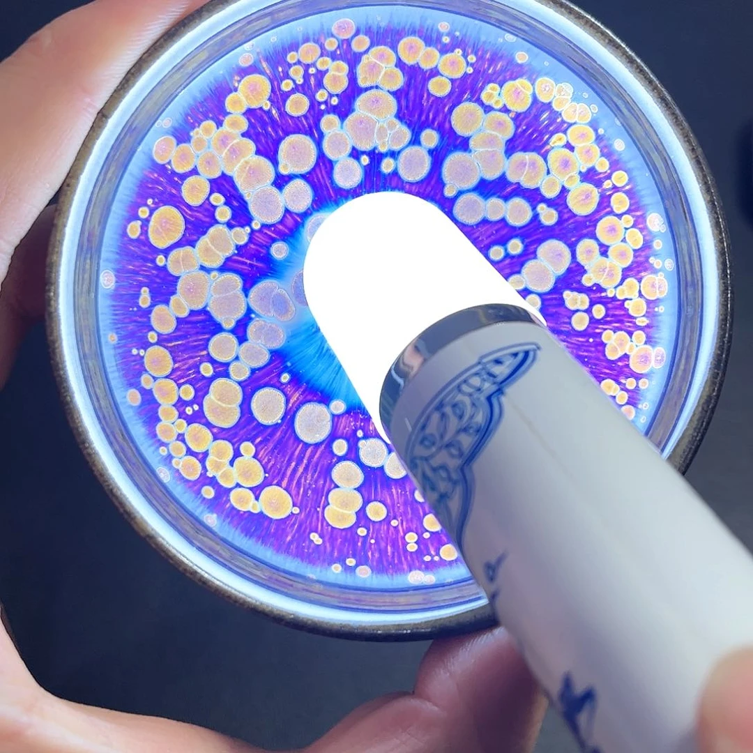 建盏建盏建盏建盏建盏建盏建盏建盏建盏建盏秋***叶