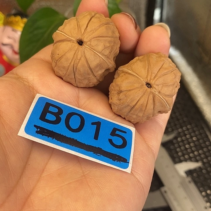 吊坠文玩核桃36龟甲纹