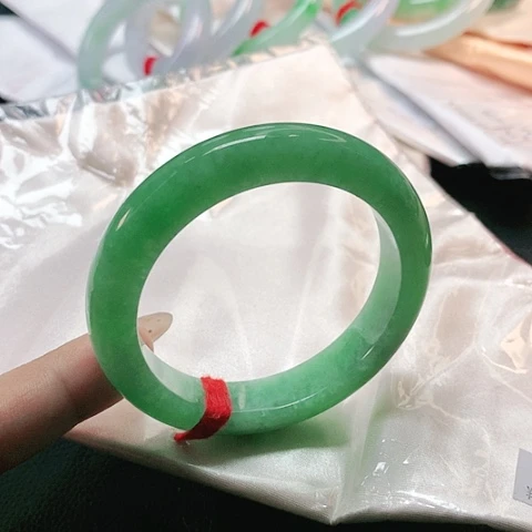 未镶嵌手镯翡翠1811
