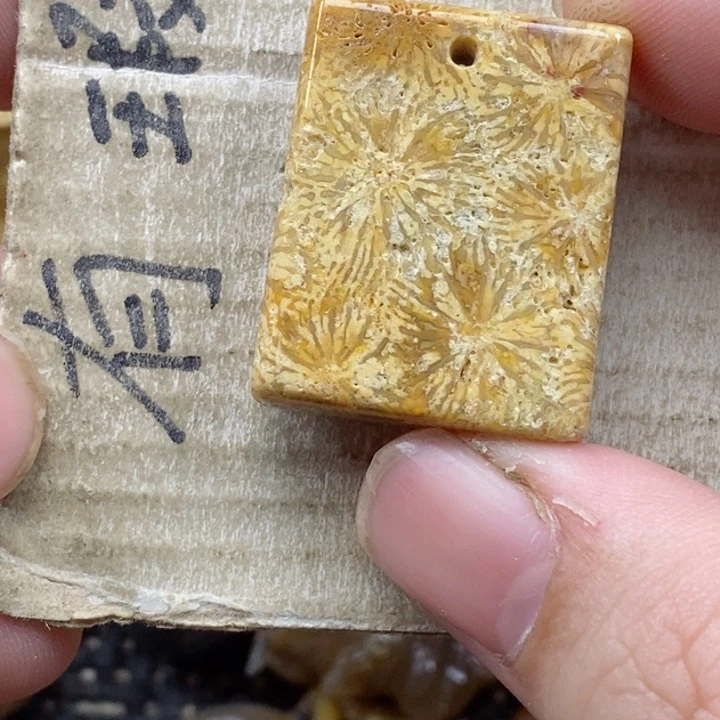 颈饰未镶嵌硅化珊瑚（珊瑚玉）～****～小