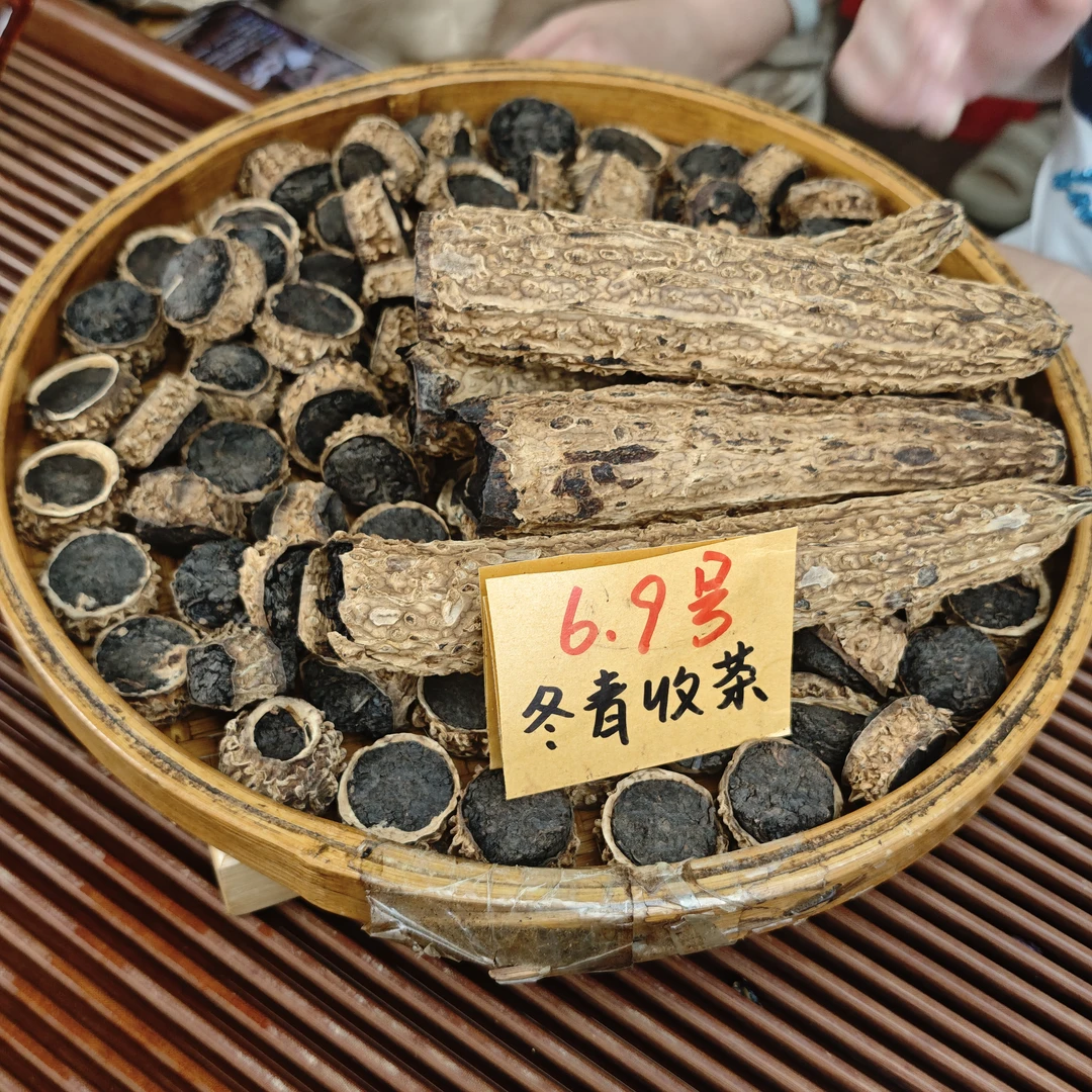 苦瓜乌龙茶 传统闽南特色茶 冬青收茶②