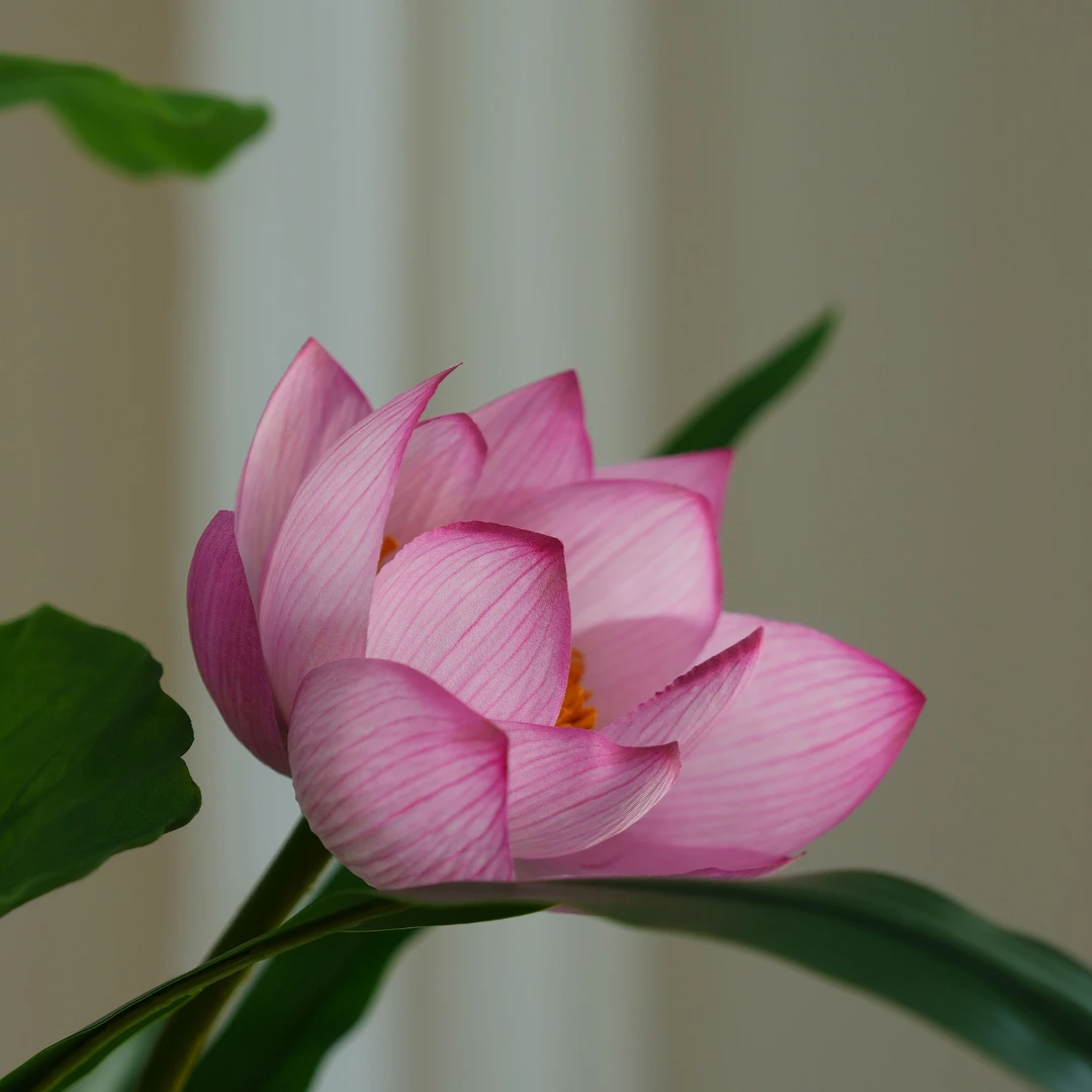 仿真花莲蓬荷花高级感仿真花莲花客厅装饰摆件新中式国风宋代美学