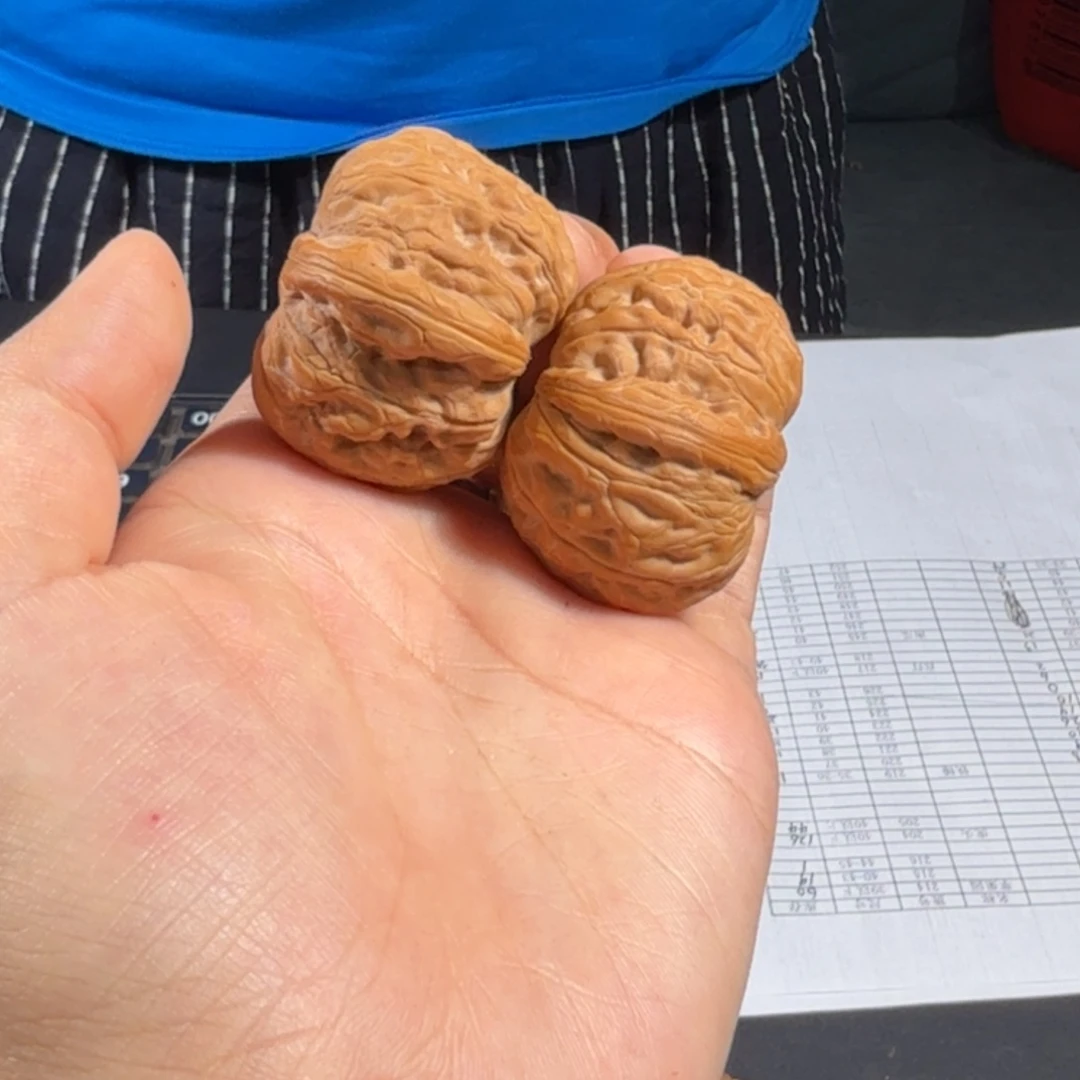 文玩核桃把件228号38-39mm平谷元宝