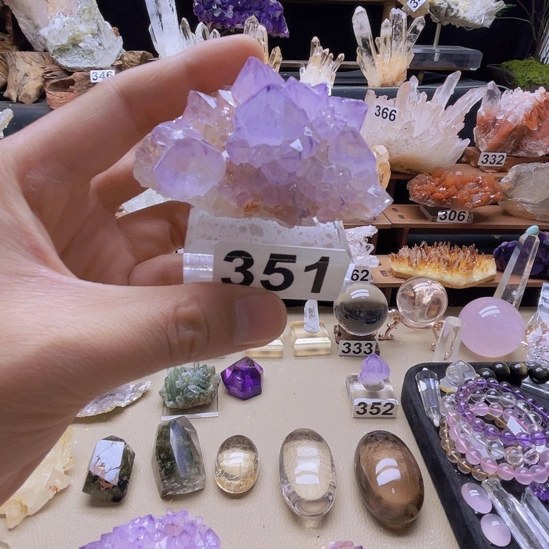 石材南非仙人掌