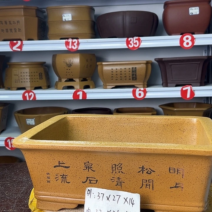 花盆紫砂你在一起
