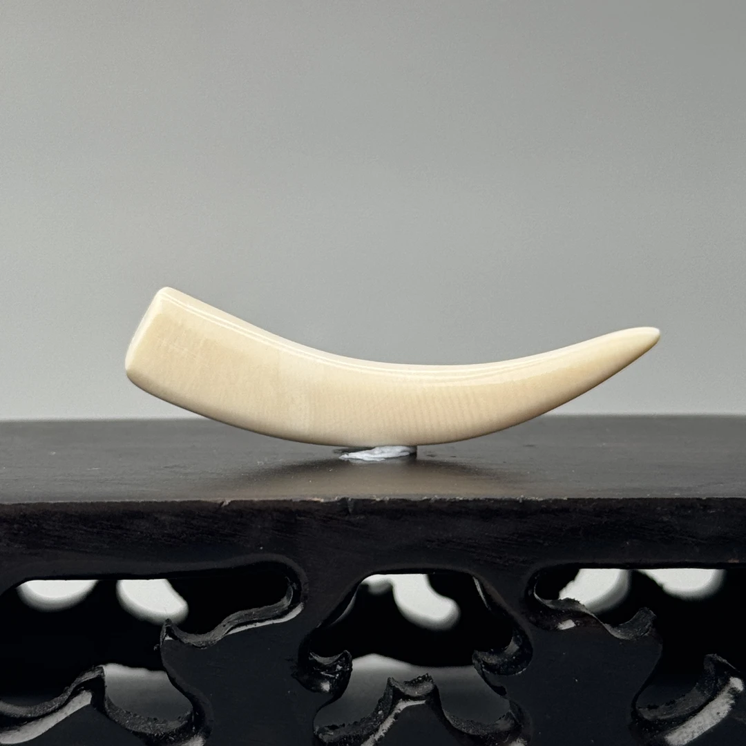 DEZHI/德志2.1g水印牙尖43*6*8mm猛犸牙默认打孔绑绳P211