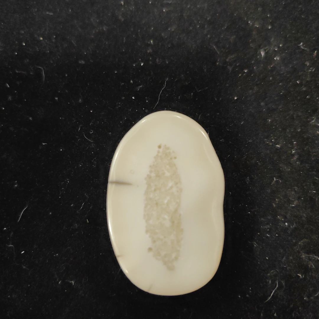 猛犸猛犸虬饼子WW145