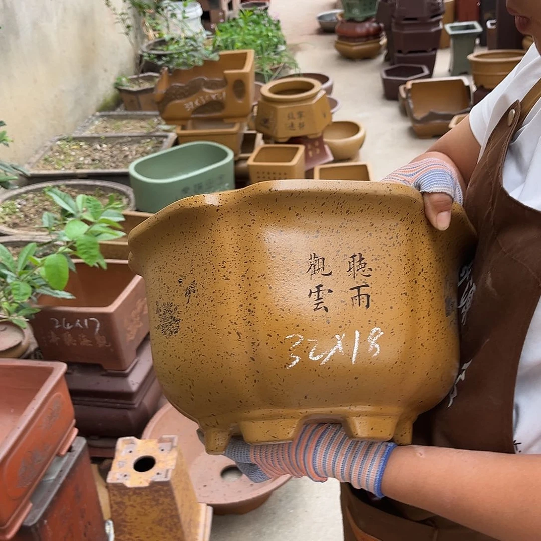 紫砂花盆盆景艺术