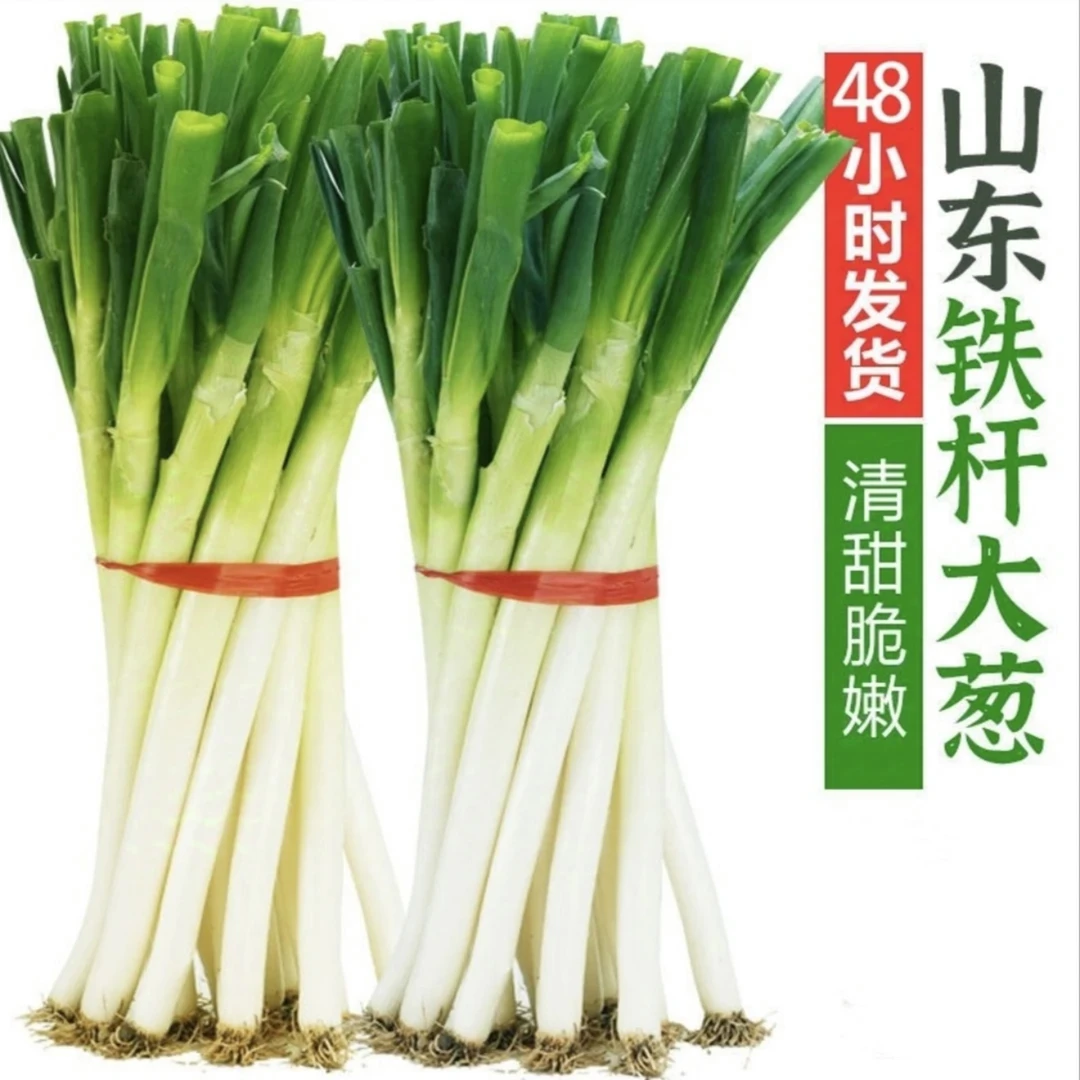 山东铁杆大葱去皮半叶5斤大白杆长杆新鲜蔬菜现挖现发品质保证
