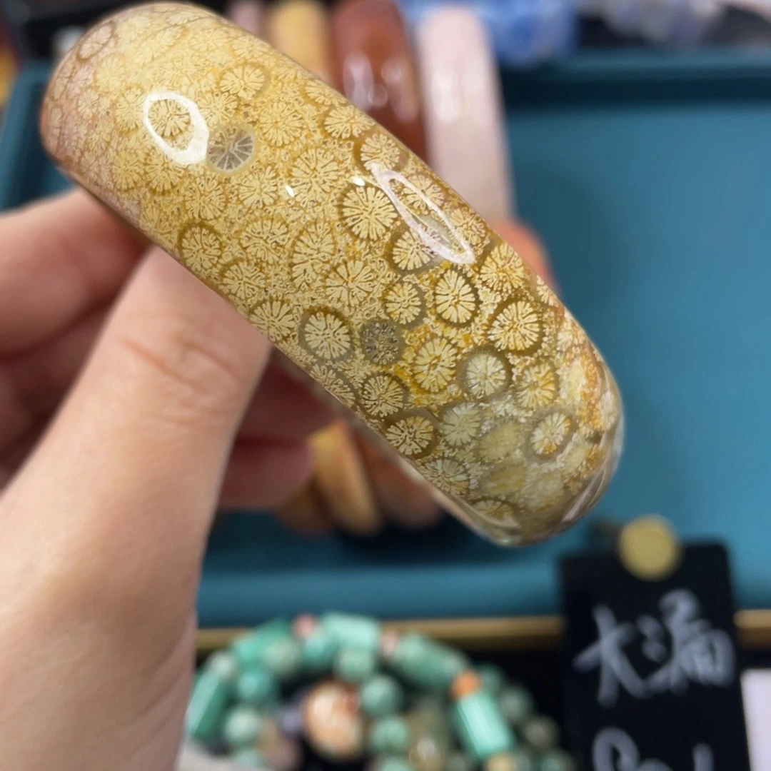 未镶嵌手镯硅化玉