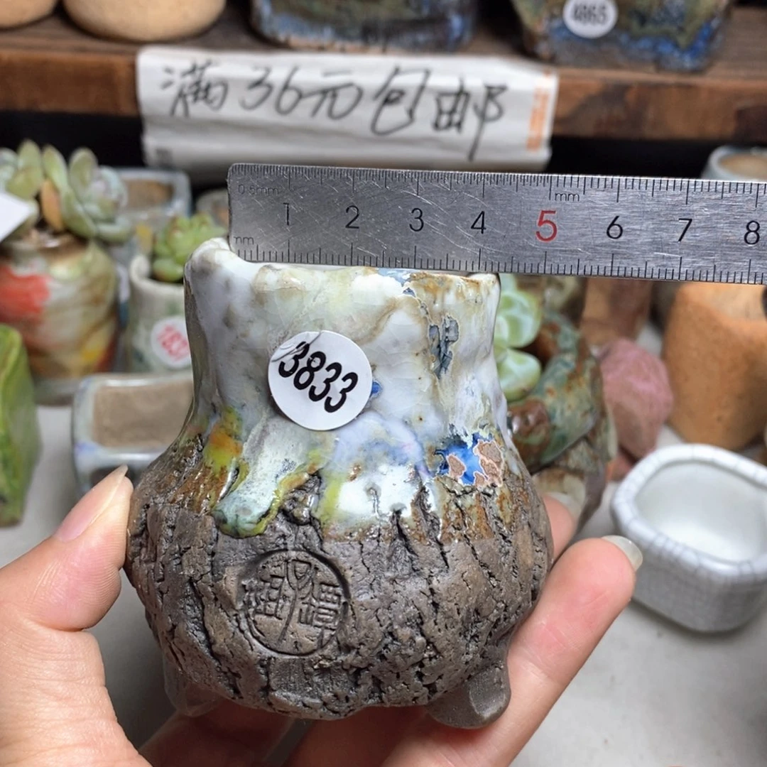 拍3送一个小礼物