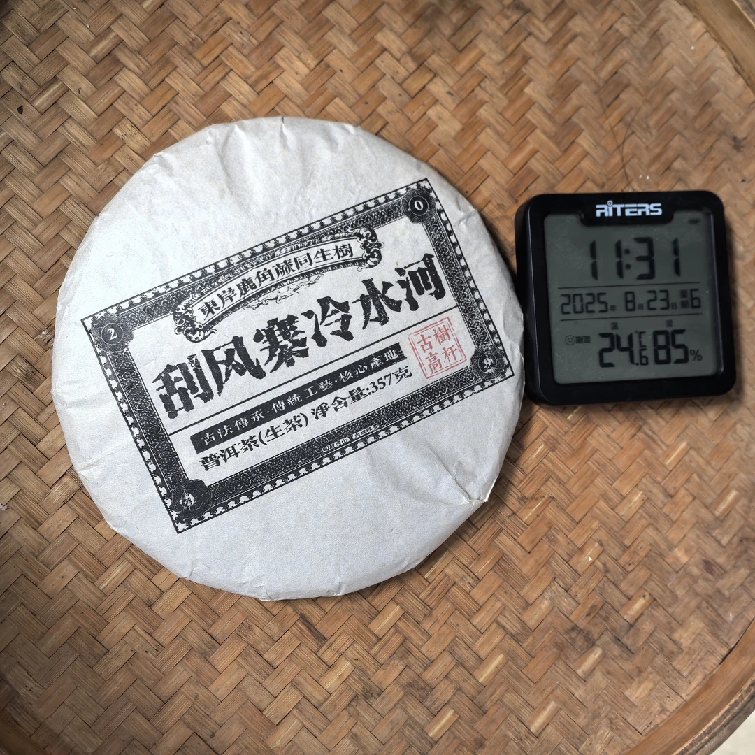 19年刮风寨冷水河东岸鹿角蕨同生普洱生茶饼357克M1331号8月23日