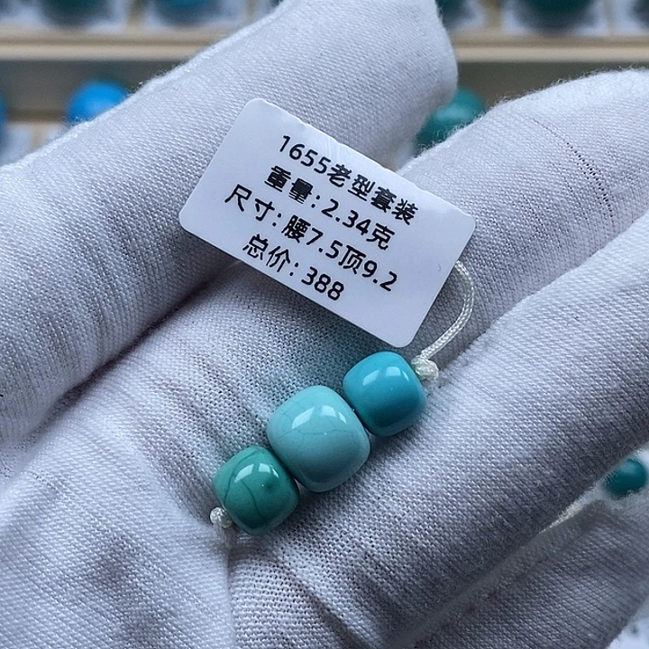 绿松石未镶嵌颈饰