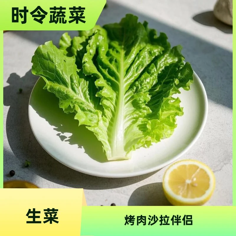生菜500g