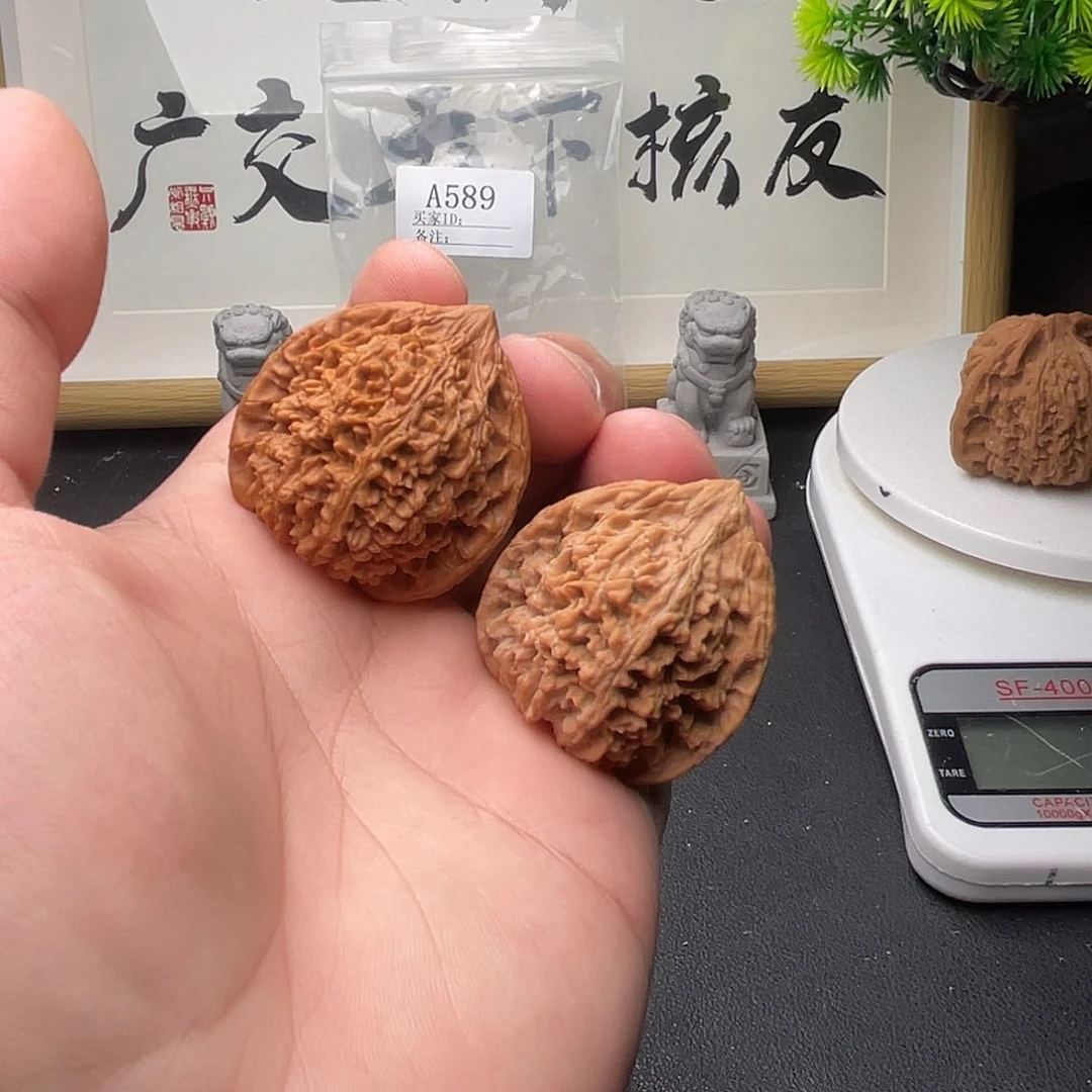 A589满天星38尺全品单只打底了
