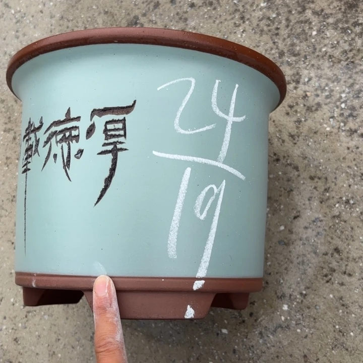 紫砂花盆紫砂的花