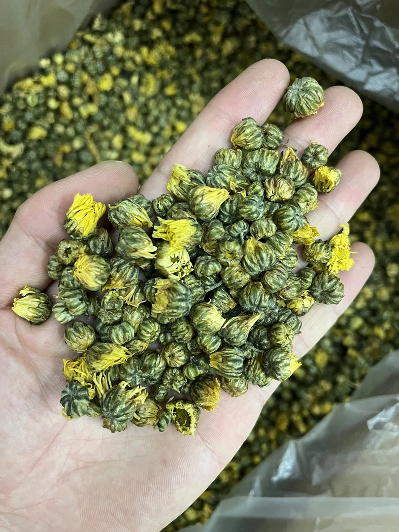新鲜菊花茶胎菊王桐乡菊花胎菊精选杭白菊250g/500g