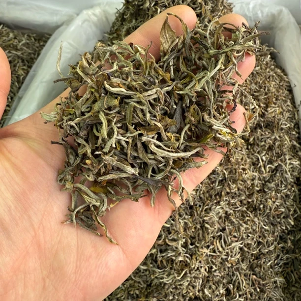 25年明前银丝茶（口感鲜醇，可口，杯水耐泡）