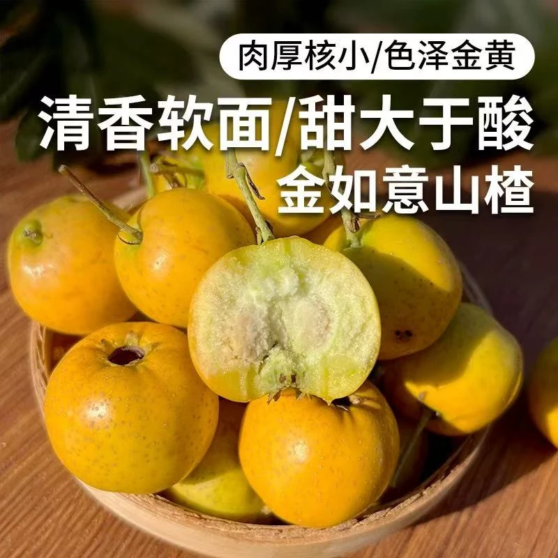 黄山楂 新鲜黄果甜山楂 新品种金如意黄山楂  360g装