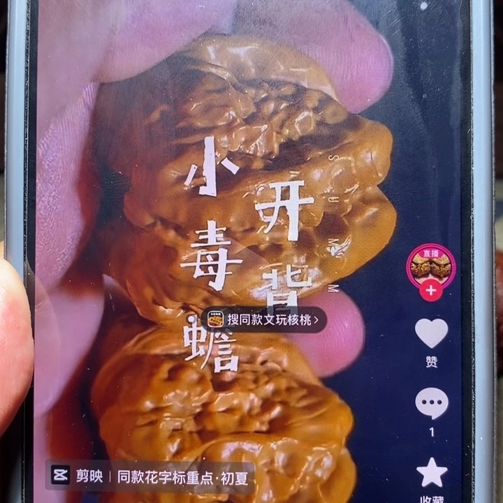 舜***肉把件文玩核桃核桃