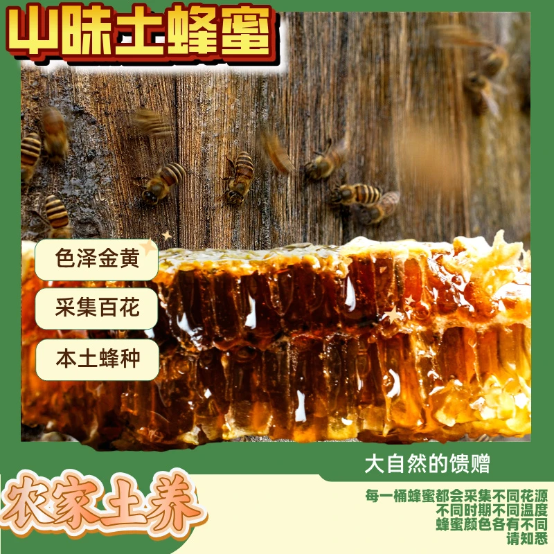 土蜂蜜百花蜜一年只割一次封盖成熟蜜